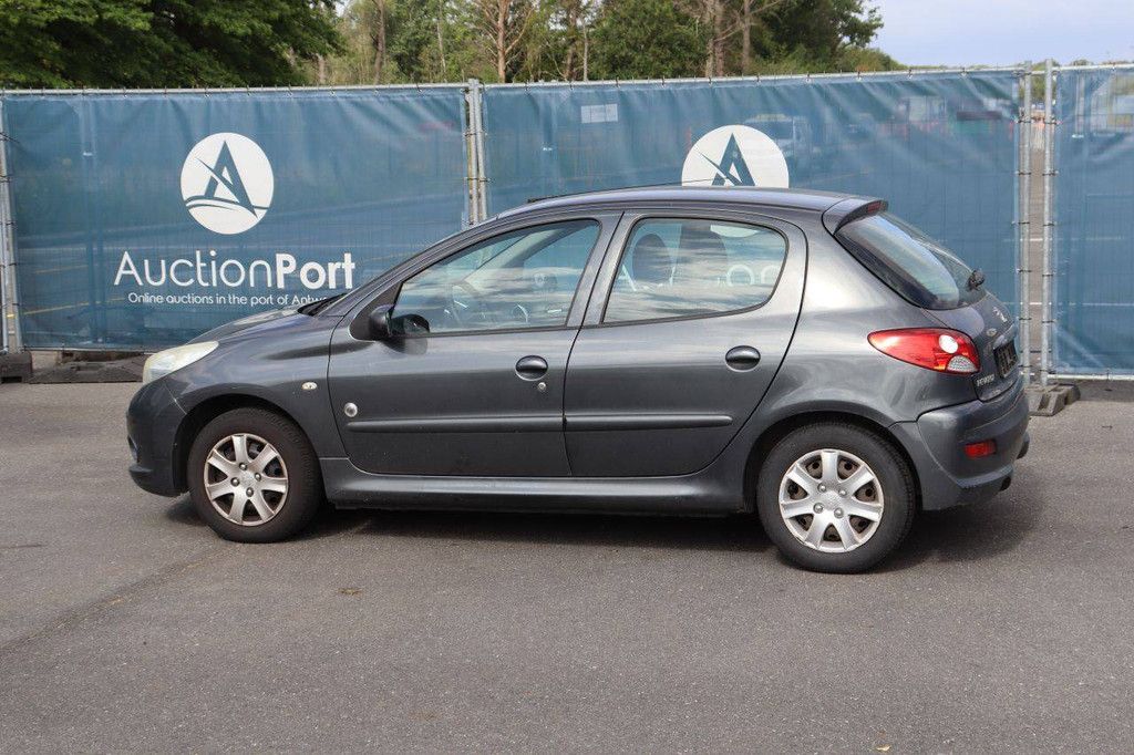 Passenger car Peugeot 206 Petrol 73hp 2012 (Margin)