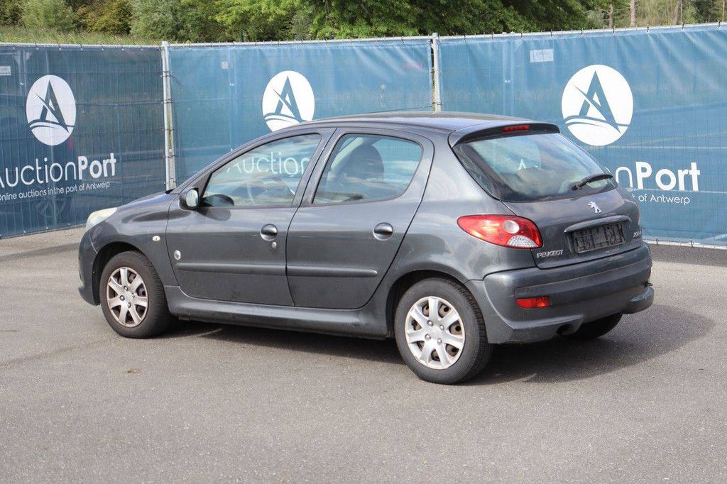 Passenger car Peugeot 206 Petrol 73hp 2012 (Margin)