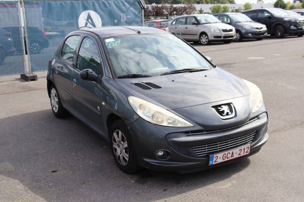 Passenger car Peugeot 206 Petrol 73hp 2012 (Margin)