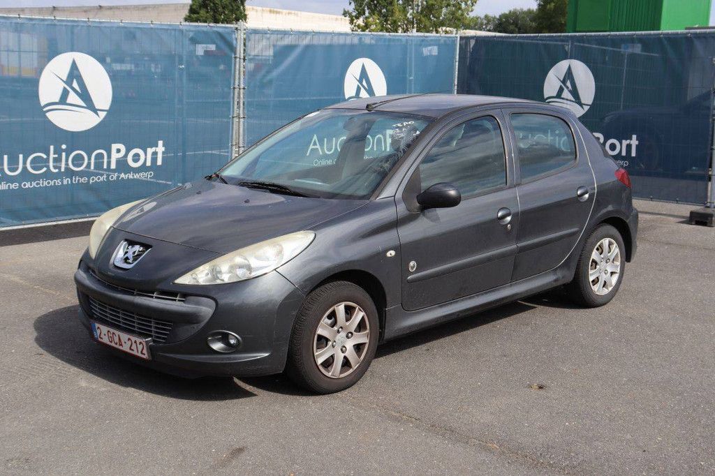 Passenger car Peugeot 206 Petrol 73hp 2012 (Margin)