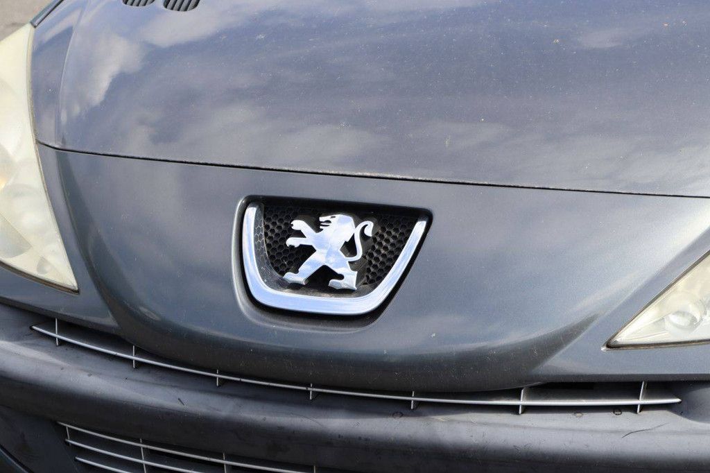 Passenger car Peugeot 206 Petrol 73hp 2012 (Margin)