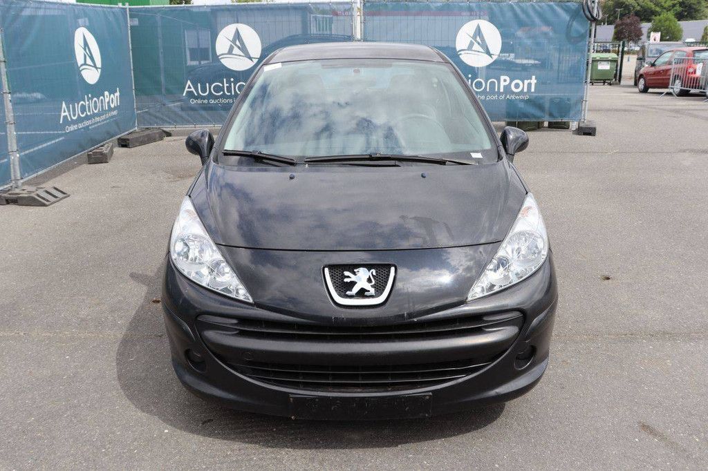 Pkw Peugeot 207 Benzin 88 PS 2007 (Margin)