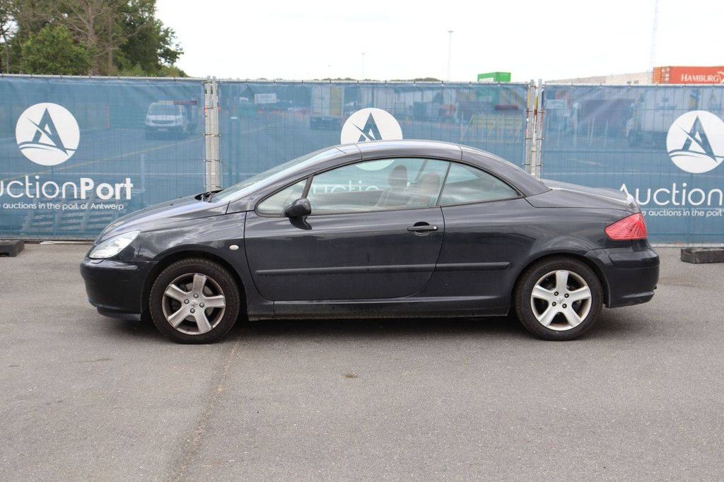 Passenger car Peugeot 307 Petrol 110hp 2004 (Margin)
