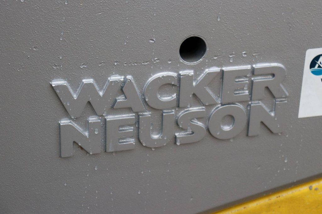 Vibratory Plate Wacker Neuson 1D81S Diesel 2017