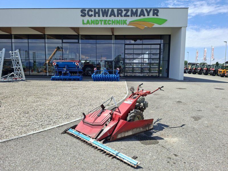 Aebi AM 41 Eingrasmäher