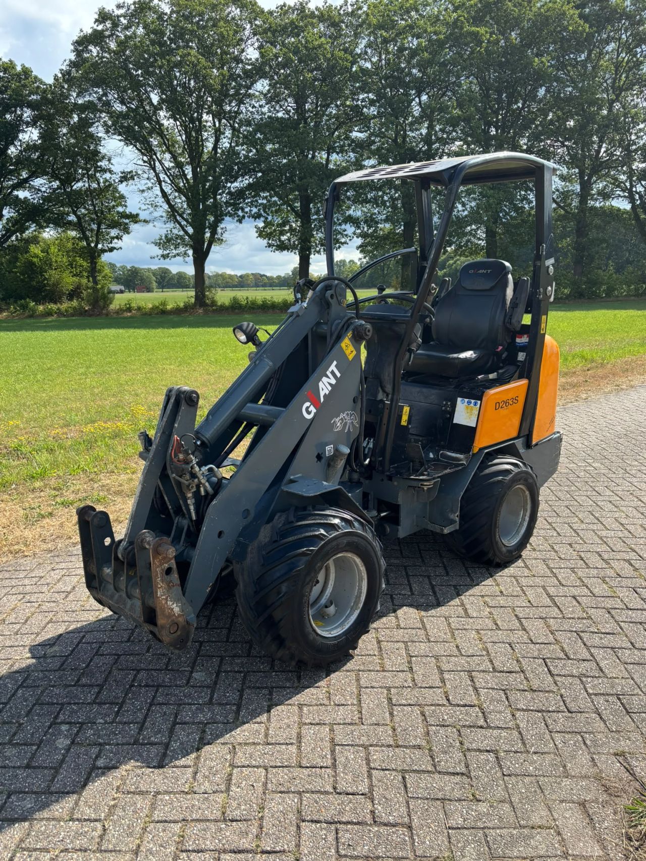 Giant 263 S