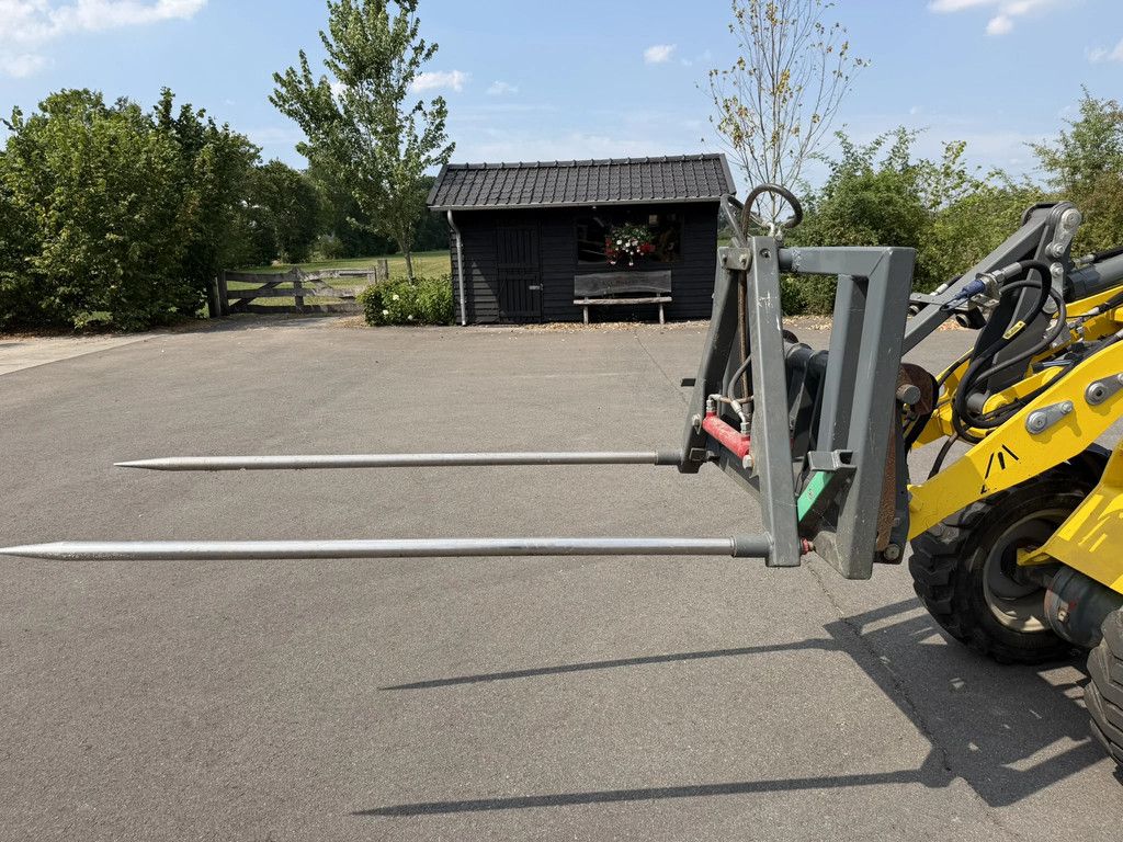 Hemach Giant, Weidemann, enz. Balenklem en Balen prikker