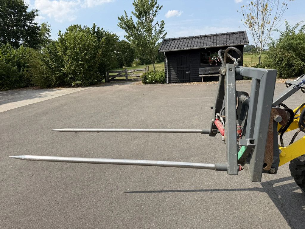 Hemach Giant, Weidemann, enz. Balenklem en Balen prikker
