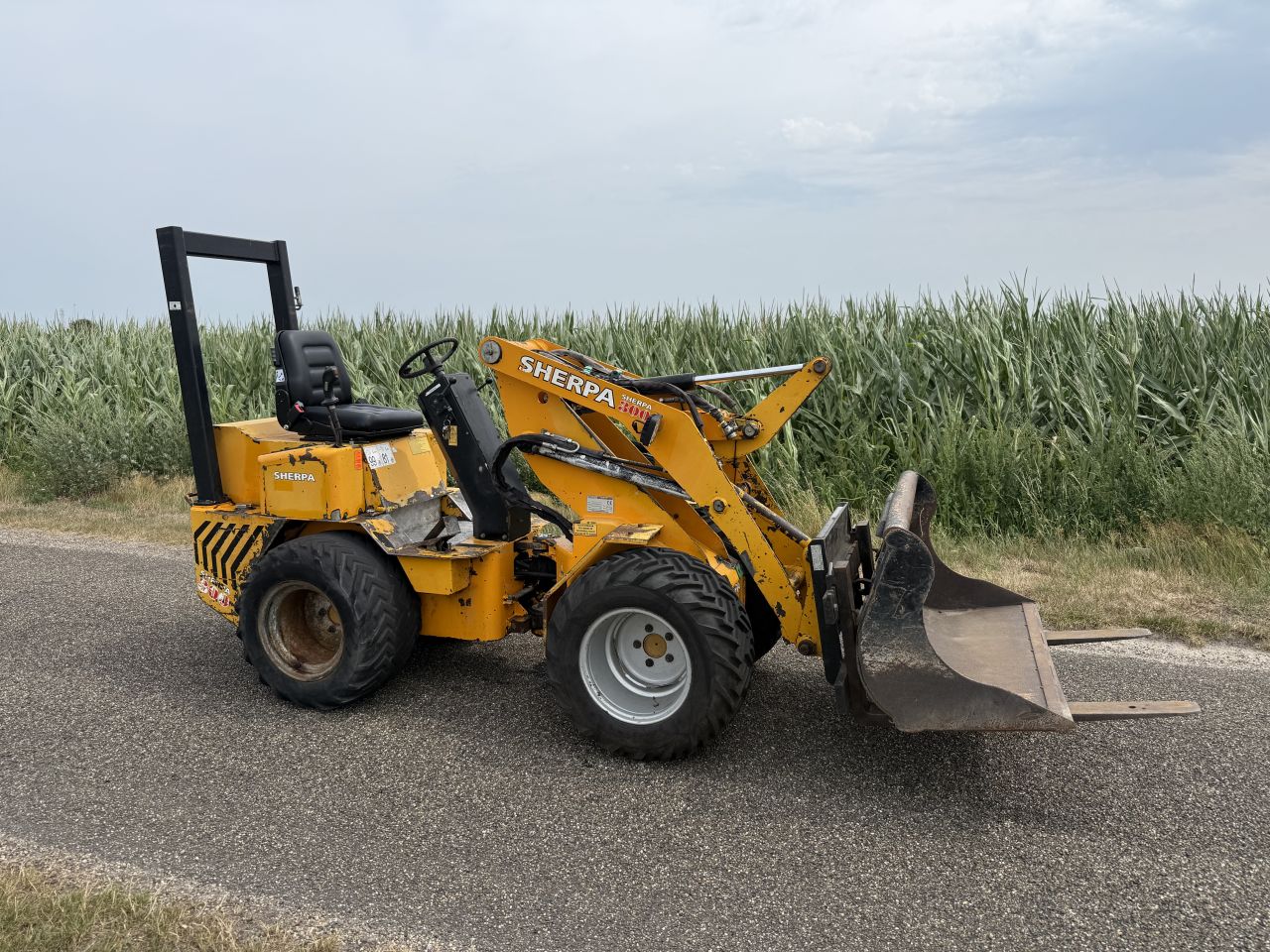 Sherpa 300 mini shovel. Giant, Weidemann, minishovel