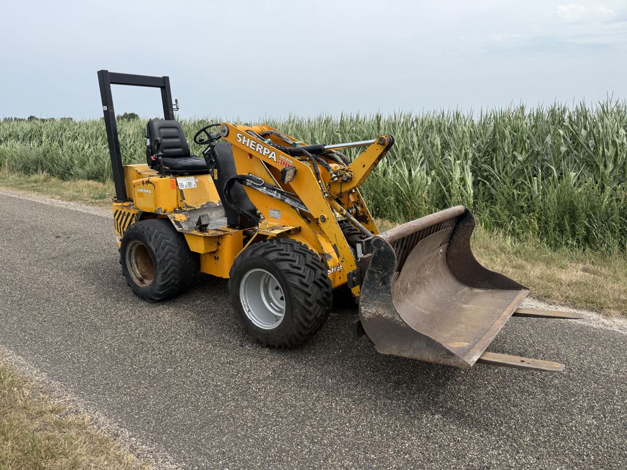 Sherpa 300 mini shovel. Giant, Weidemann, minishovel