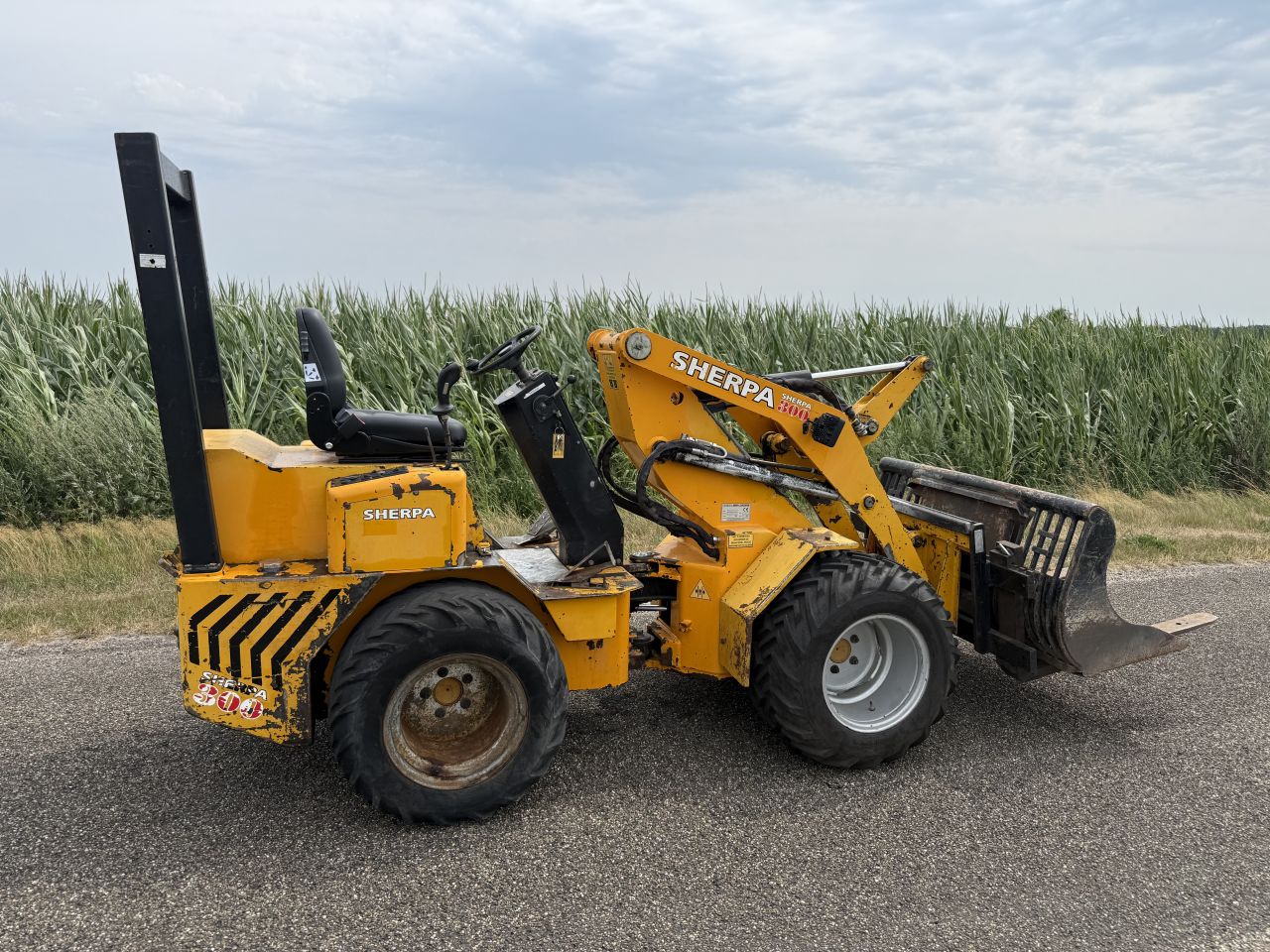 Sherpa 300 mini shovel. Giant, Weidemann, minishovel