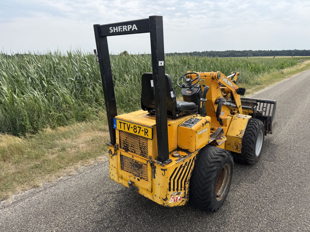 Sherpa 300 mini shovel. Giant, Weidemann, minishovel