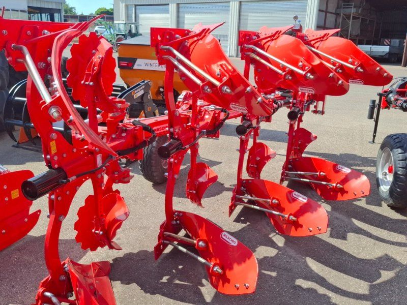 Maschio Unico M Vario 4+ NON Stop