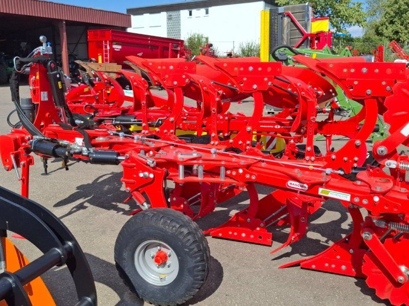 Maschio Unico M Vario 4+ NON Stop