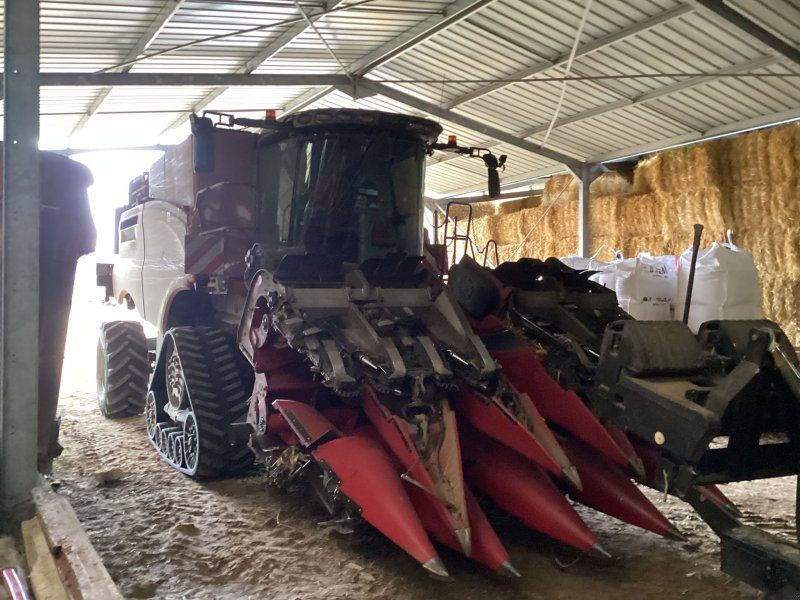 Case IH Moissonneuse batteuse AXIAL FLOW 8250 ST5