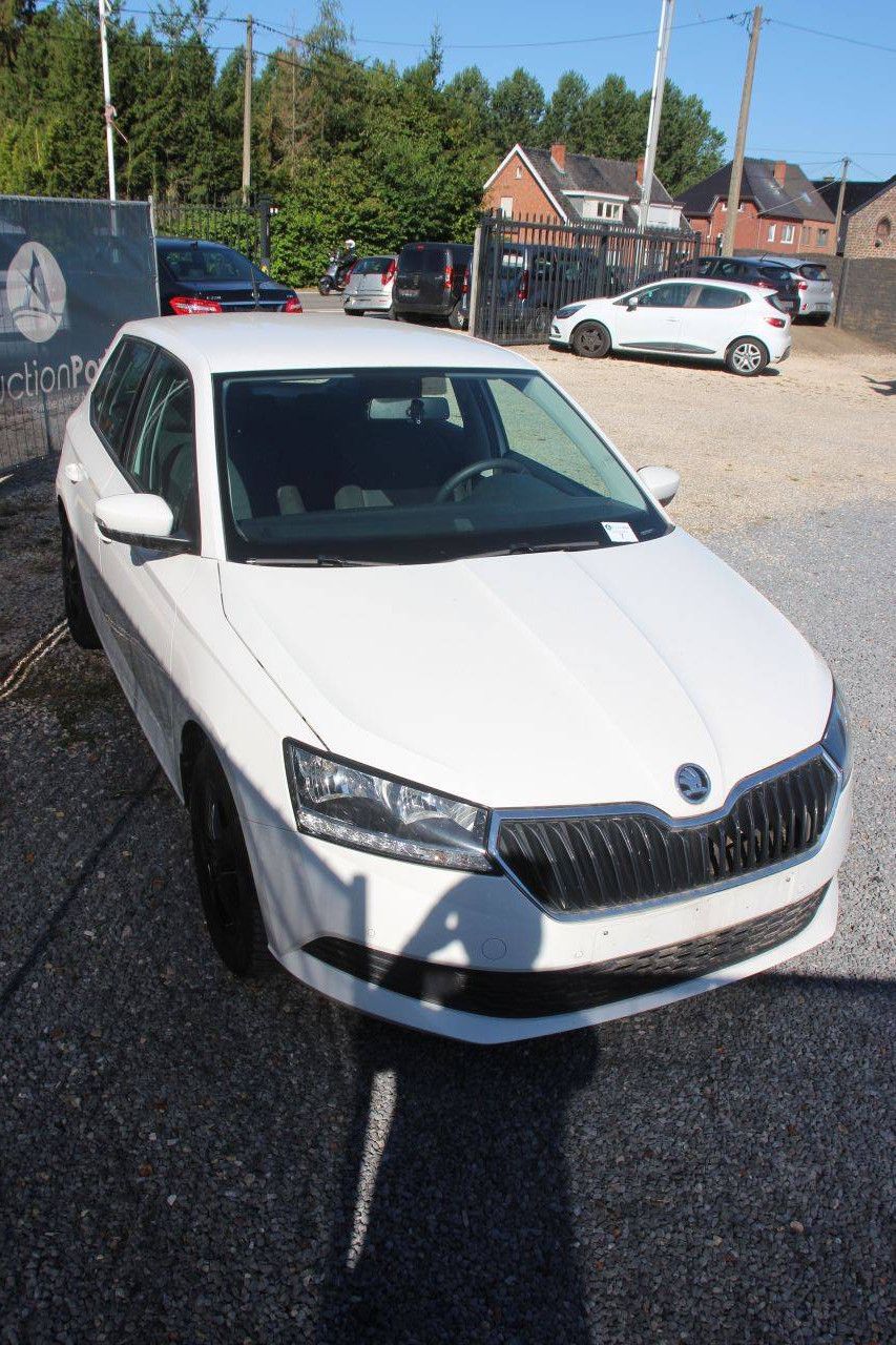 Pkw Škoda Fabia Benzin 60 PS 2020 (Marge)