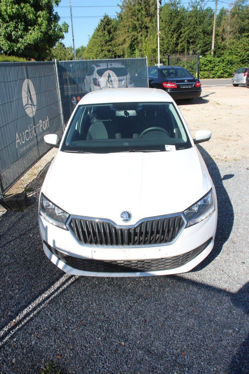 Pkw Škoda Fabia Benzin 60 PS 2020 (Marge)