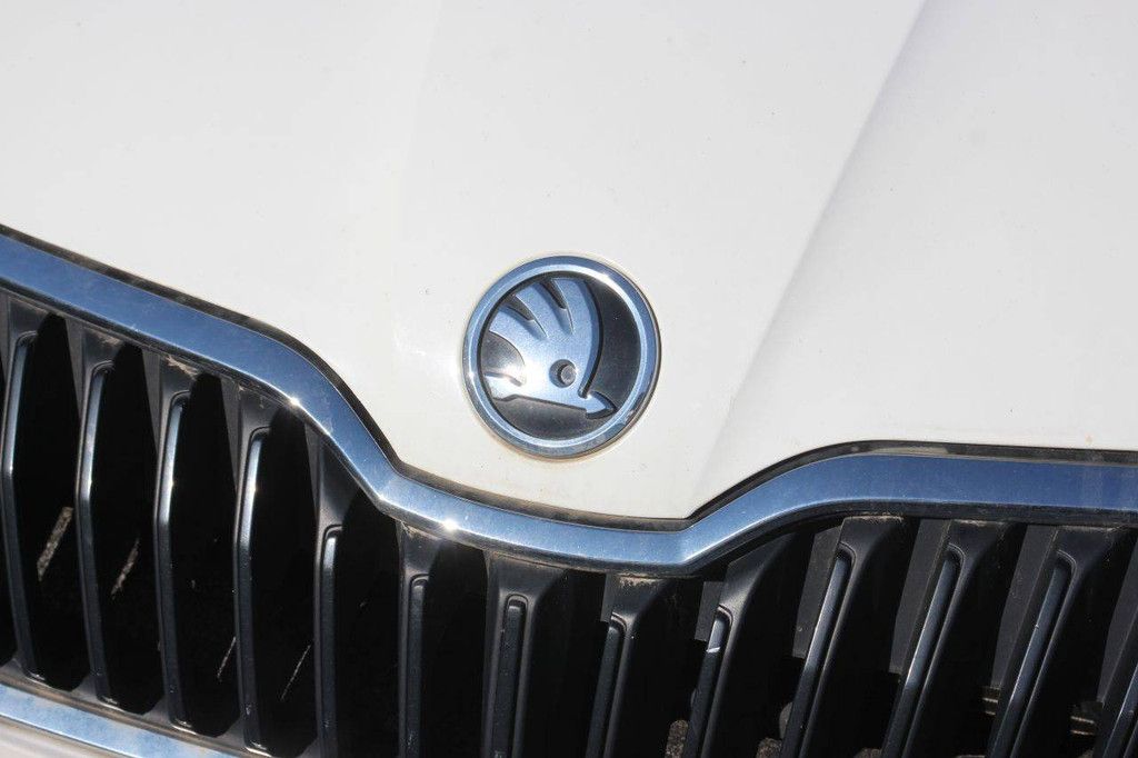 Pkw Škoda Fabia Benzin 60 PS 2020 (Marge)