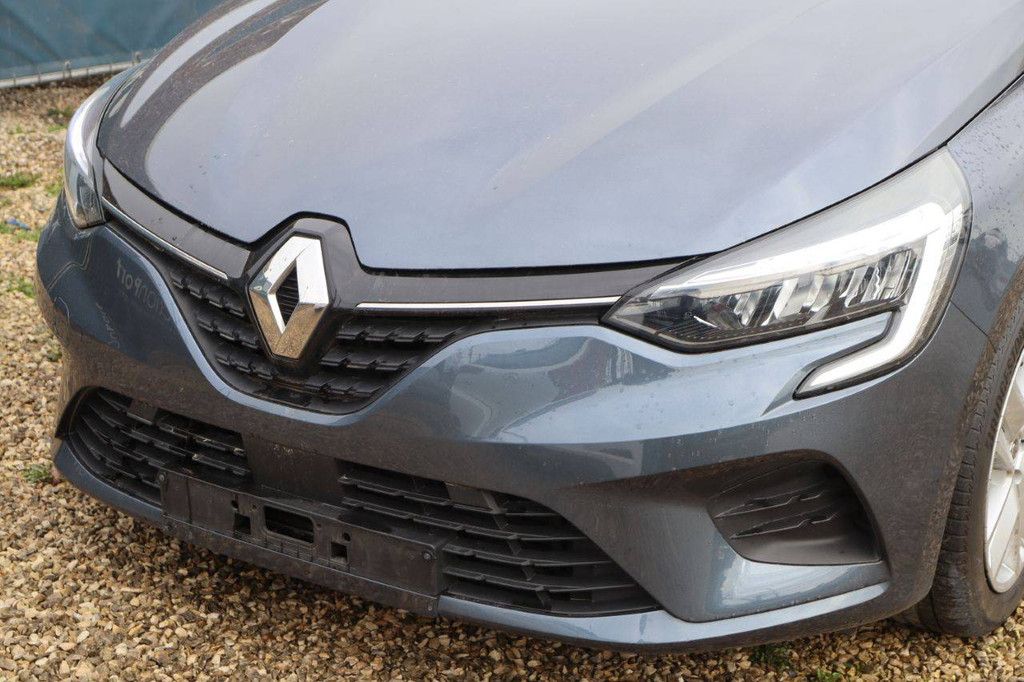 Renault Clio Benzin-Pkw 2021 (Marge)