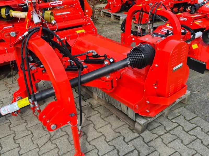 Maschio Giraffa