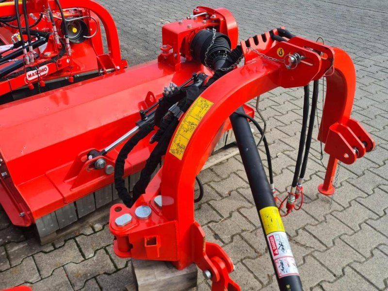 Maschio Giraffa