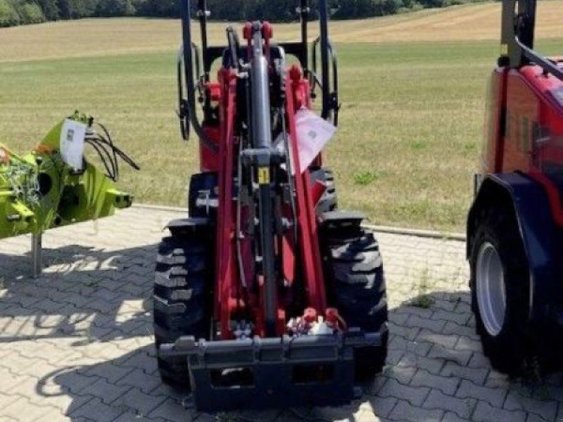Schäffer 2024 S