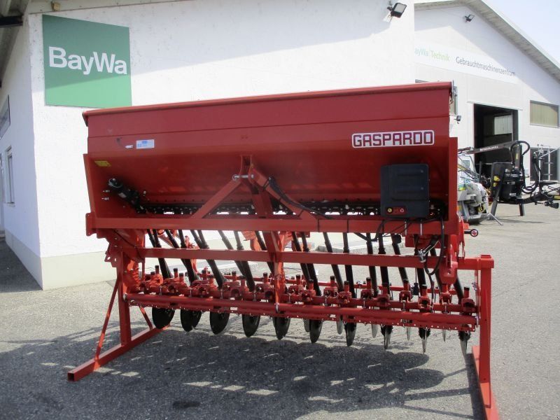 Maschio DAMA  §00 