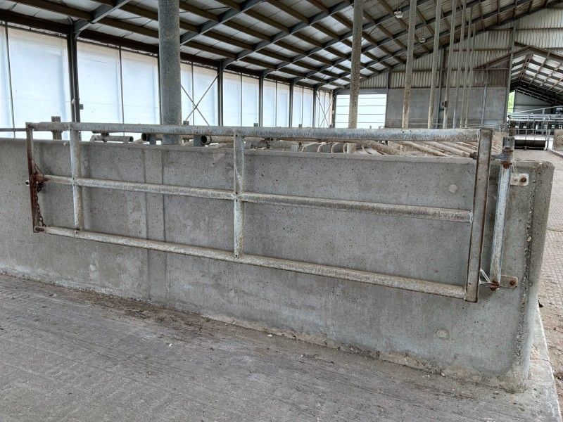 Stalltore (17x)