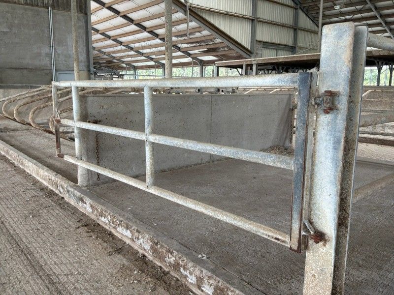 Stalltore (17x)