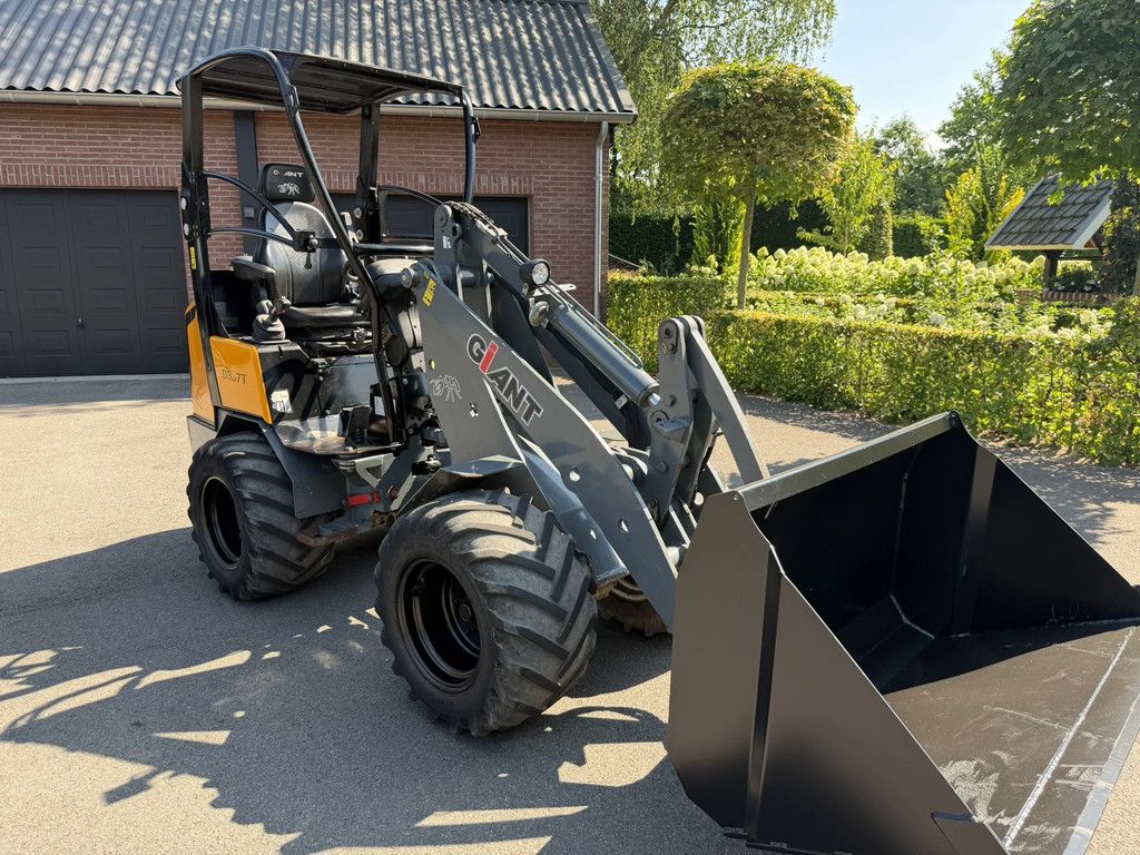 Giant D337T V 337 T