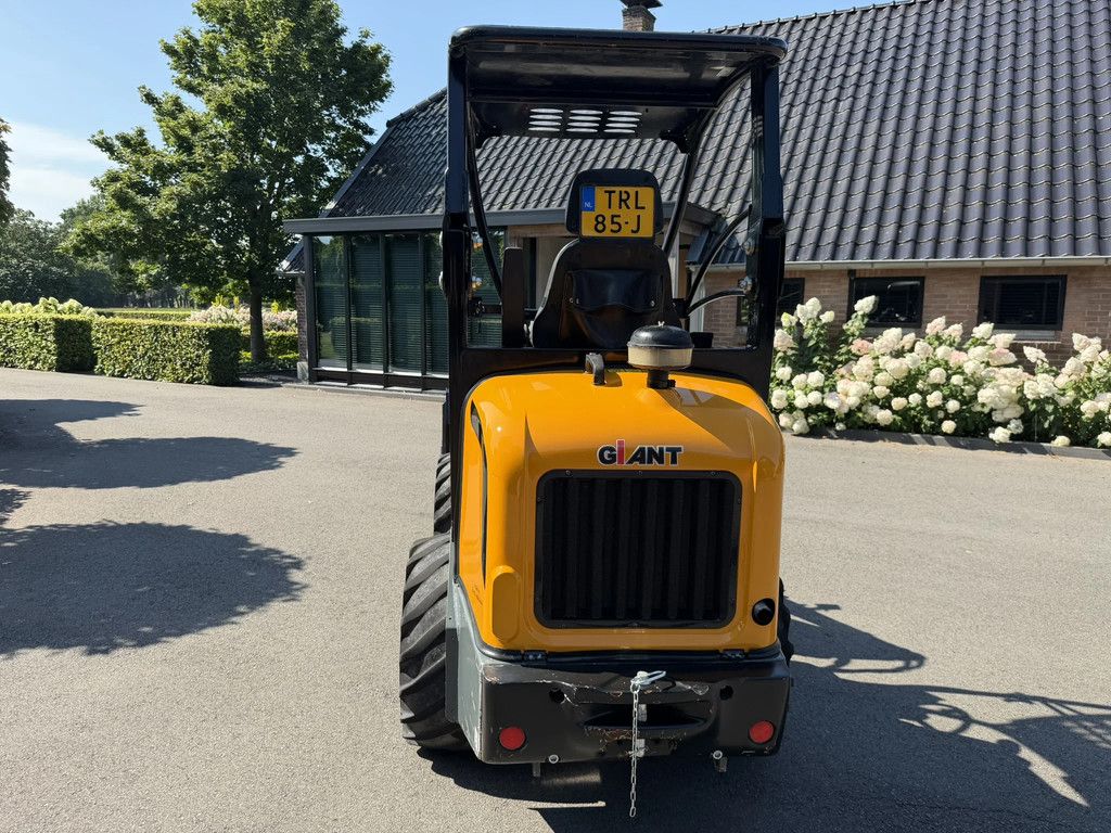 Giant D337T V 337 T