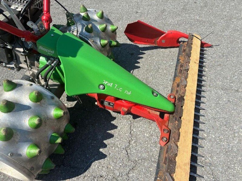 Rapid Rex