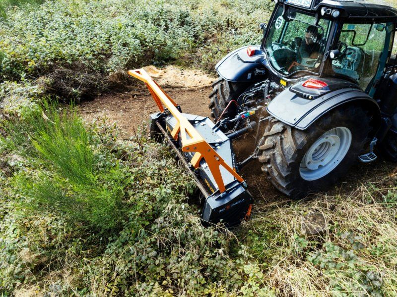 TMC Cancela TFS2-200 Forstmulcher /Mulchfräse für Traktor-Aktionsangebot-