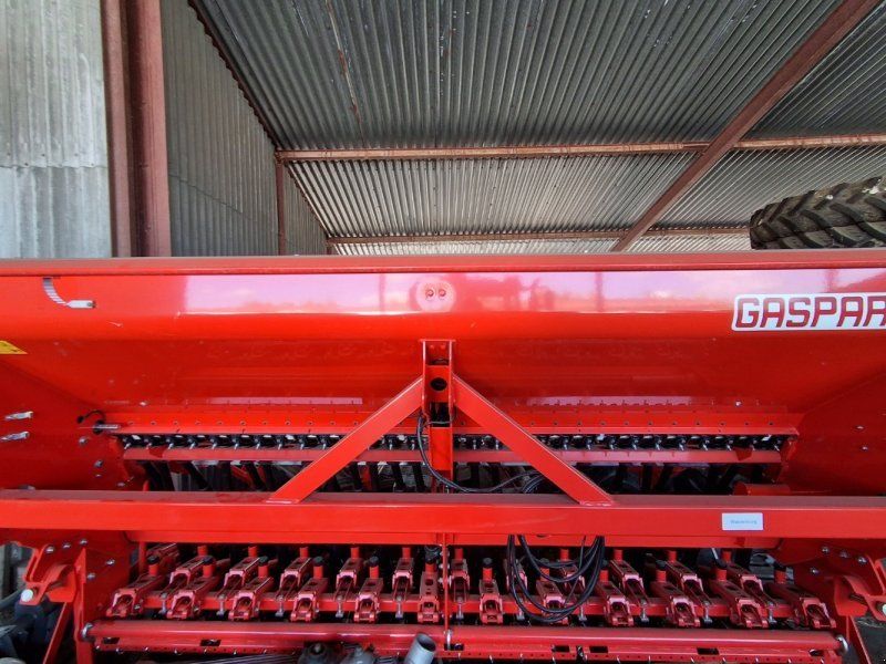 Maschio DAMA 300 Cor