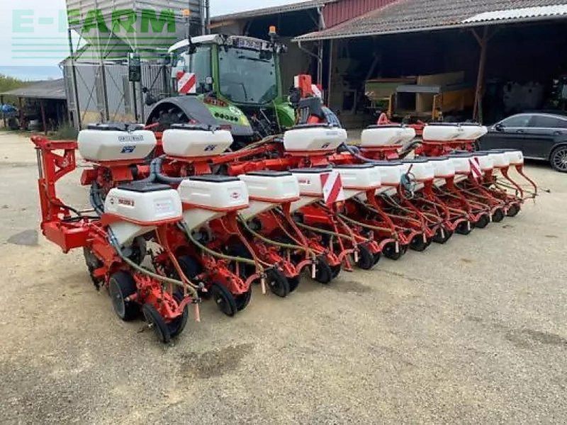 Kuhn maxima 2