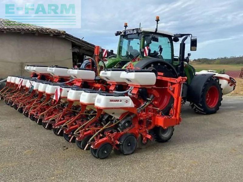 Kuhn maxima 2