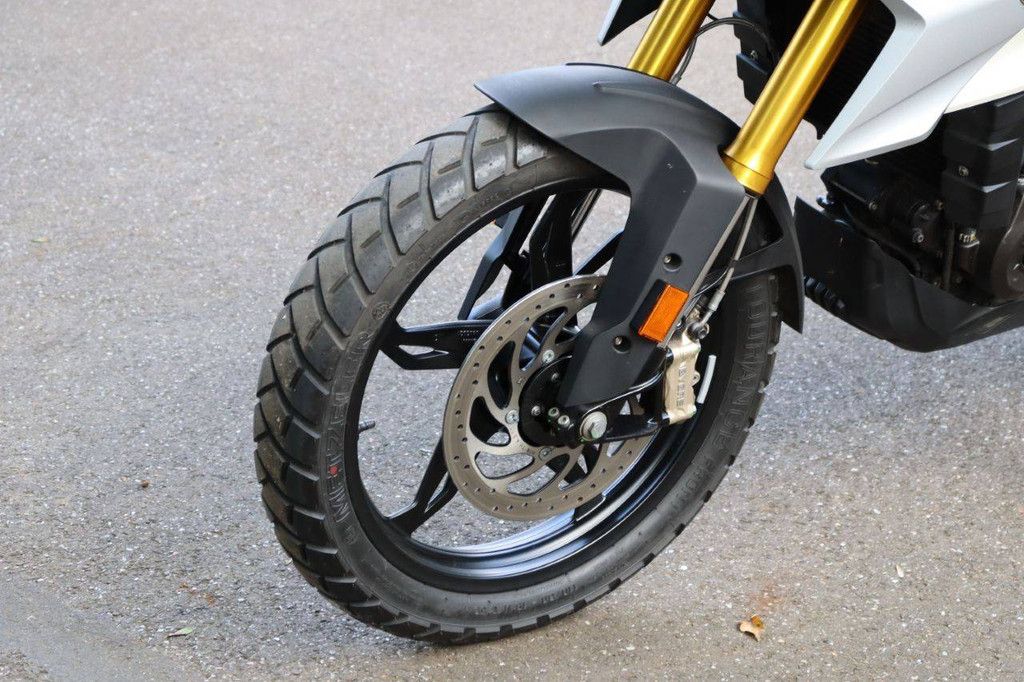 BMW GS310 Benzinmotorrad 2024 (Marge)