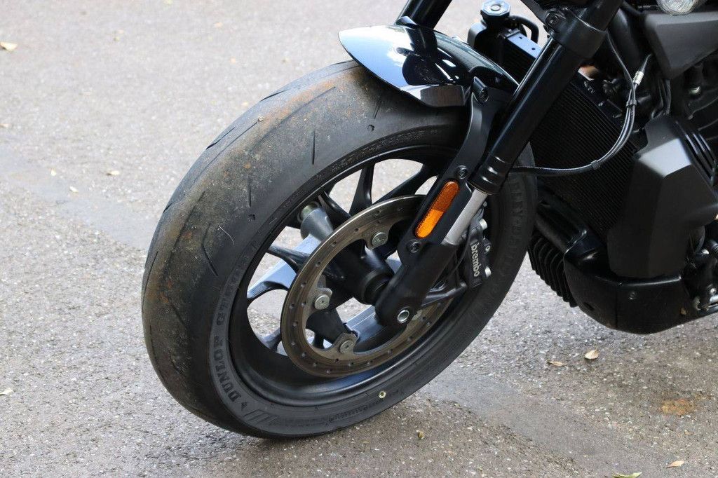 Motorcycle Harley-Davidson SPORTSTER 1250S Petrol 2022 (Margin)