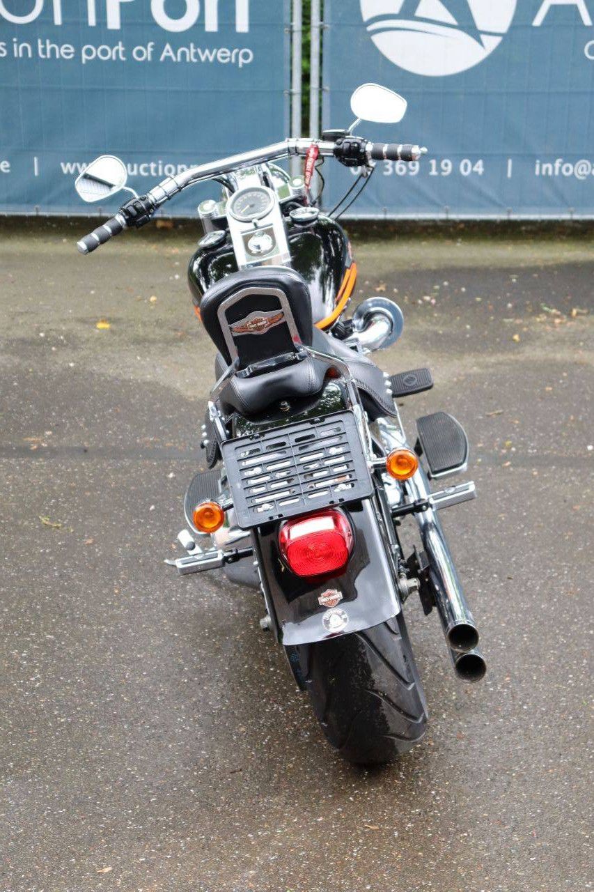 Motorcycle Harley Davidson Fat Boy Softail Petrol 2009