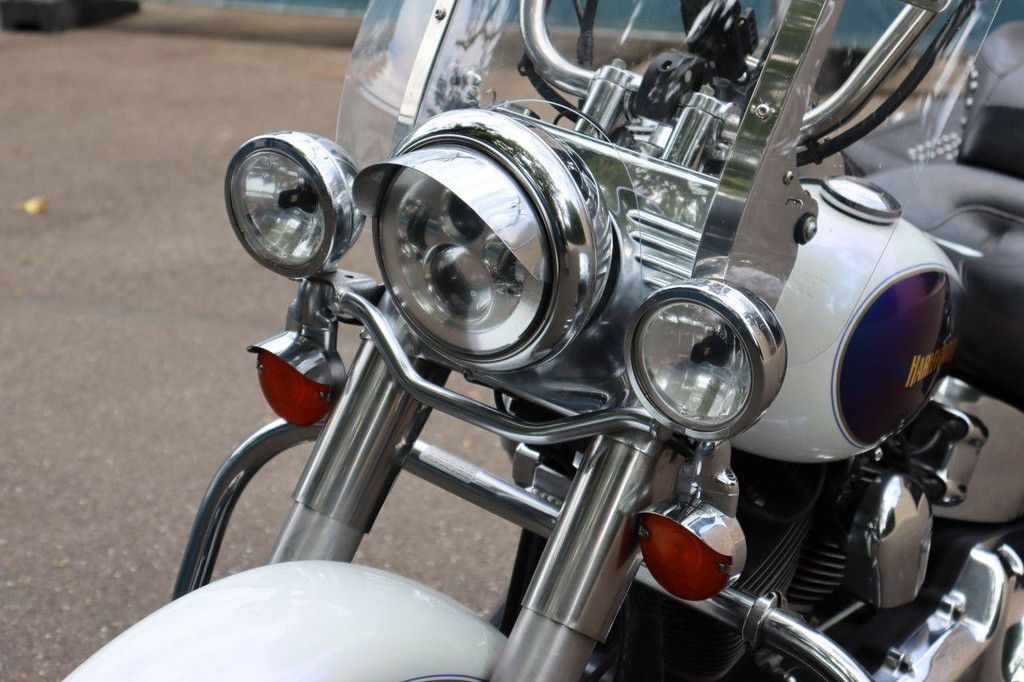 Motorcycle Harley-Davidson HERITAGE SOFTAIL CLASSIC Gasoline 2010 (Margin)