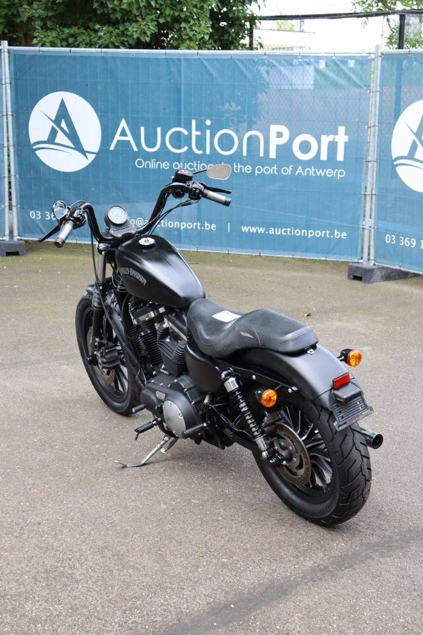 Motorcycle Harley Davidson Sportster XL883 Iron Petrol 2014