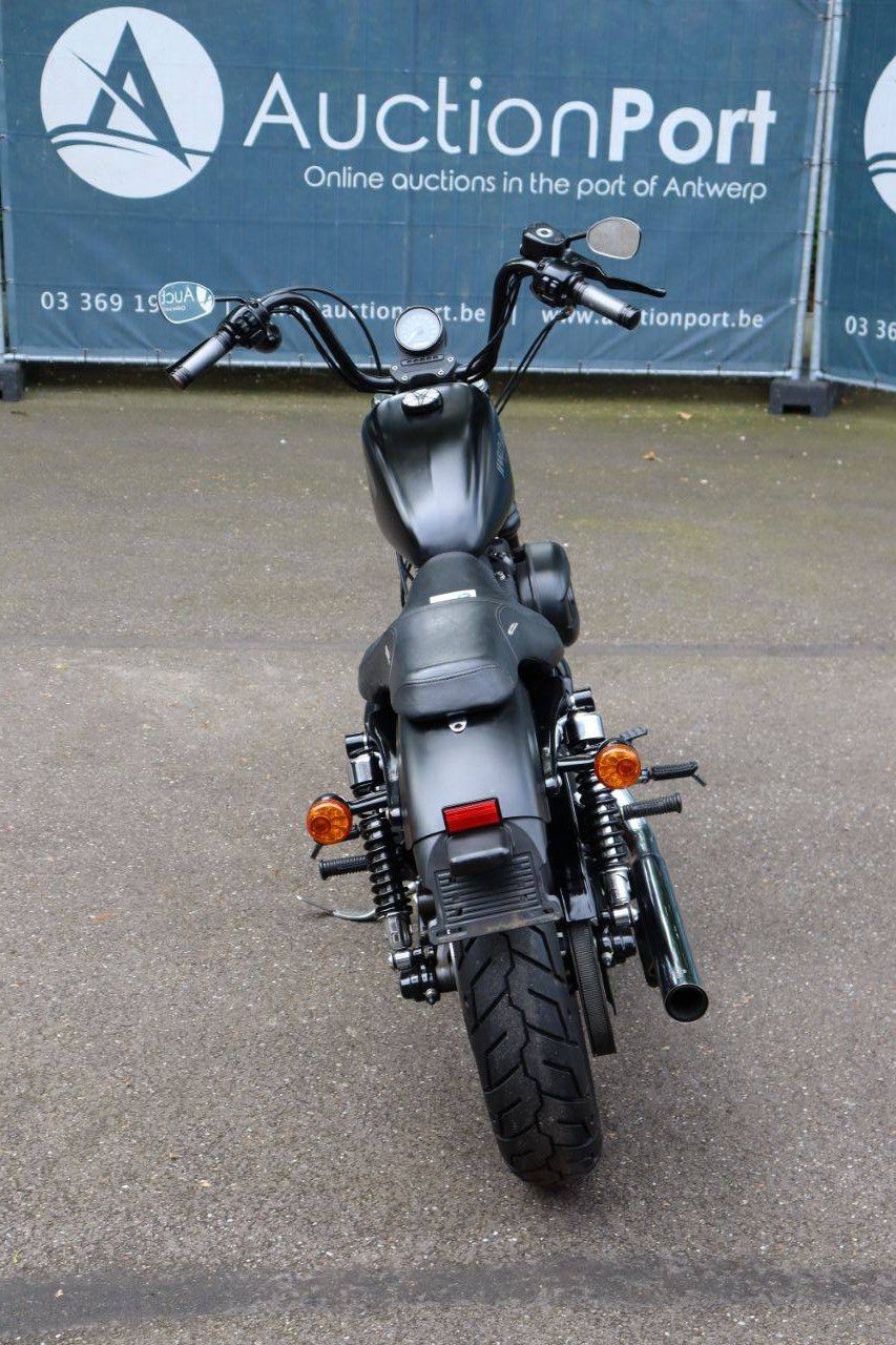 Motorcycle Harley Davidson Sportster XL883 Iron Petrol 2014