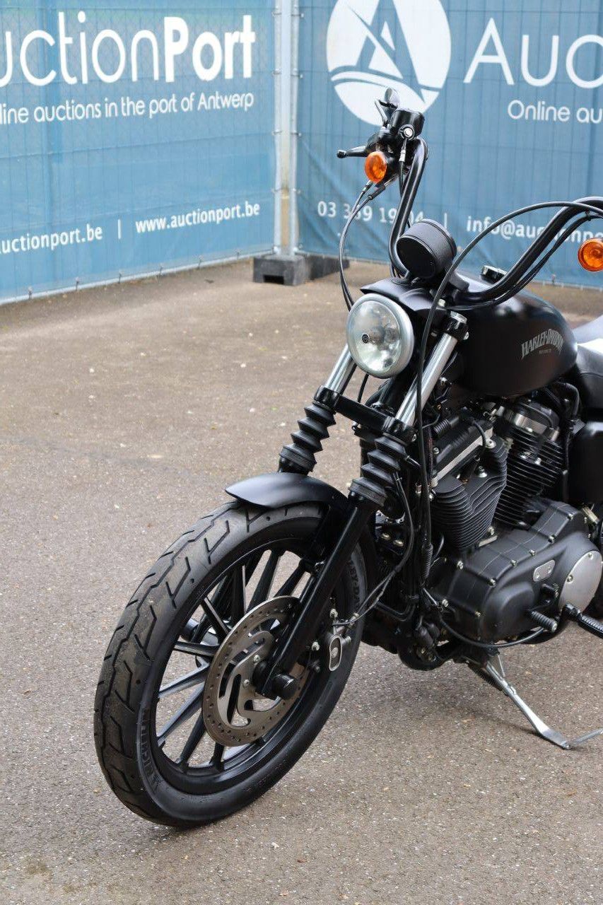 Motorcycle Harley Davidson Sportster XL883 Iron Petrol 2014