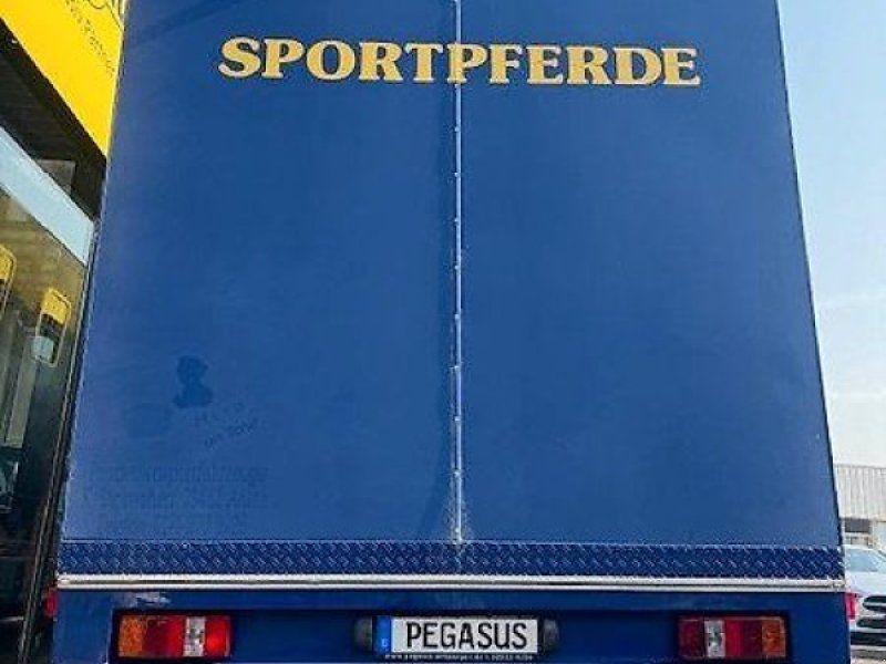 Mercedes Benz 814 Pferdeer Pferde LKW 7,5t.