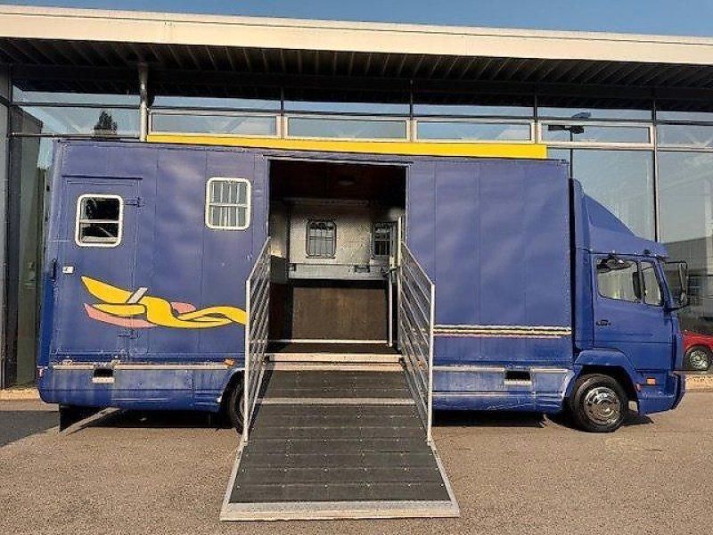 Mercedes Benz 814 Pferdeer Pferde LKW 7,5t.