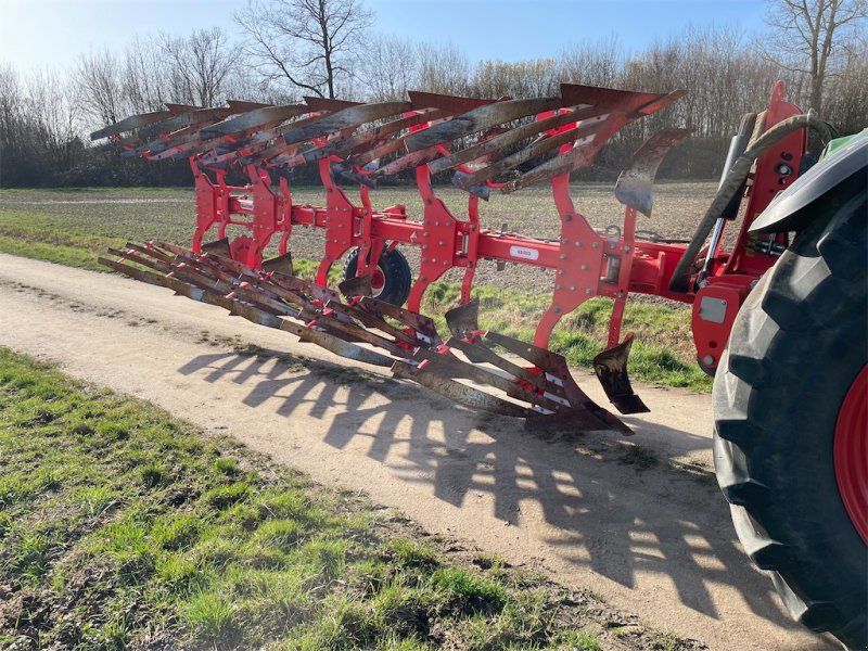 Maschio UNICO BULL M Vario 4+