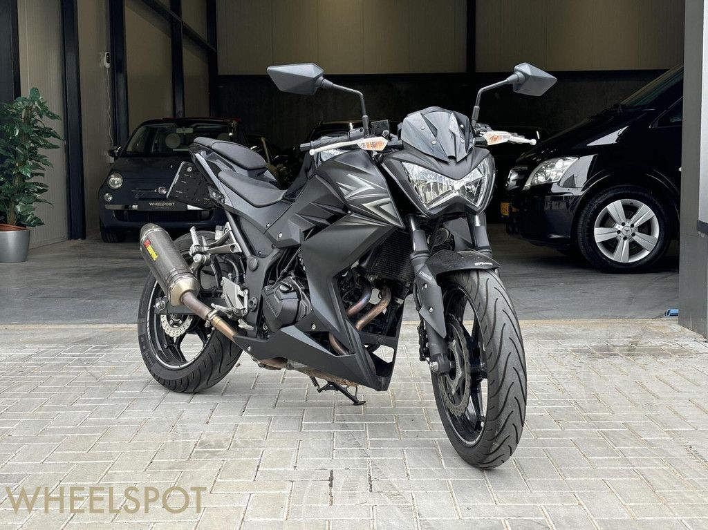 Kawasaki Z 300 ABS|Akrapovic|Druppellader|ABS