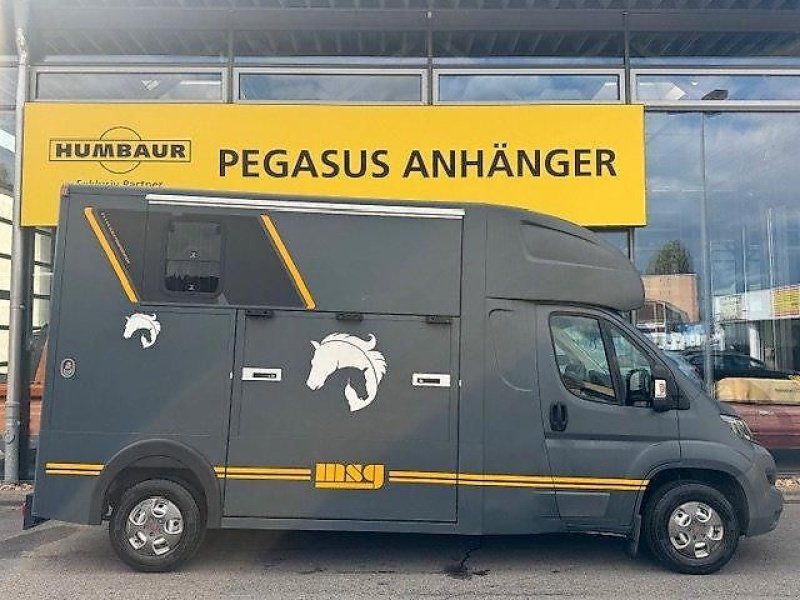 Peugeot Boxer 2 Pferdeer MSG Aufbau NUR 16.000 km 3,5t.