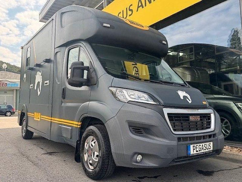 Peugeot Boxer 2 Pferdeer MSG Aufbau NUR 16.000 km 3,5t.