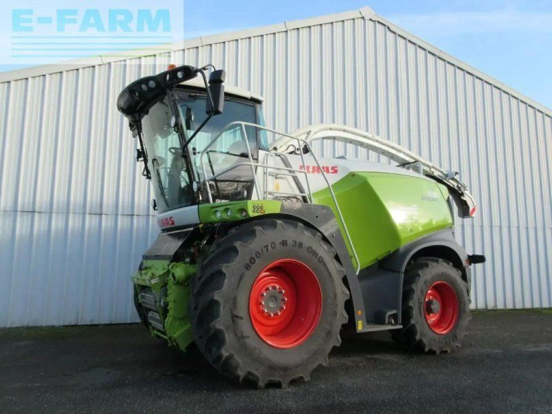 Claas jaguar 960 s5 tradition